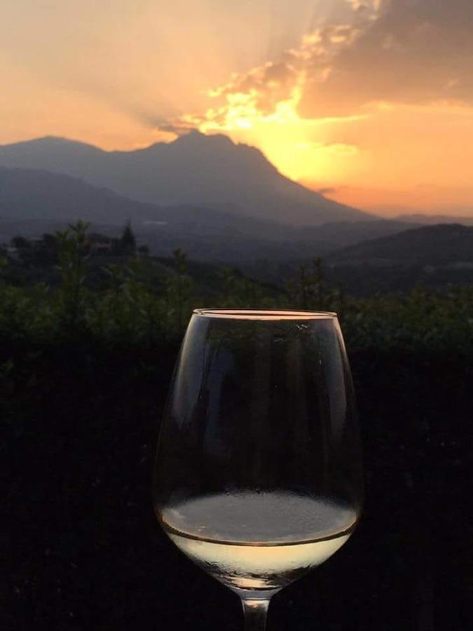 Masseria Del Vino لوريتو أبروتينو المظهر الخارجي الصورة